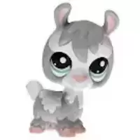 LPS 1937