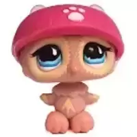LPS 674