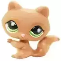 LPS 953