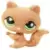 LPS 953