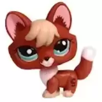 LPS 1126