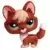 LPS 1126
