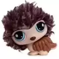 LPS 2423