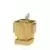 Treasure X - Minecraft - Golden Apple