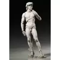 Davide di Michelangelo