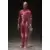 Figma - Human Anatomical Model