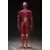 Figma - Human Anatomical Model