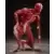 Figma - Human Anatomical Model