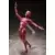 Figma - Human Anatomical Model
