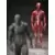 Figma - Human Anatomical Model