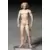 FIGMA - Vitruvian Man