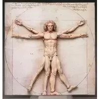 Vitruvian Man