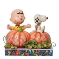 Charlie Brwn & Snoopy in pumpkin patch