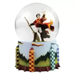 Harry Potter Quidditch Water Ball