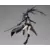 Figma - Black Rock Shooter: TV ANIMATION ver.