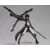 Figma - Black Rock Shooter: TV ANIMATION ver.