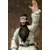 FIGMA - Guan Yu