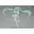 Racing Miku 2017 ver.
