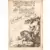 Robin  des Bois - L\'enfant-loup