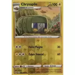 Chrysapile Reverse