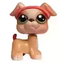 LPS 235