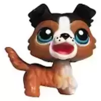 LPS 237