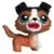 LPS 237