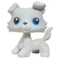 LPS 363