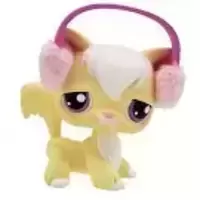 LPS 364
