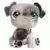 LPS 446