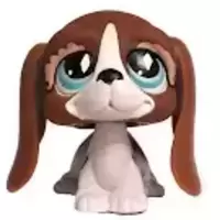 LPS 502