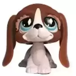 LPS 502