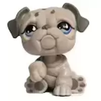 LPS 508