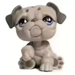 LPS 508