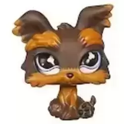 LPS 509