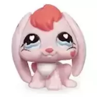LPS 557