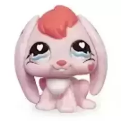LPS 557
