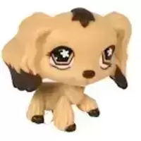 LPS 575