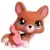LPS 639