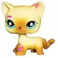 LPS 816