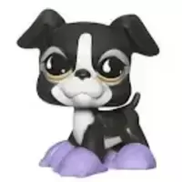 LPS 826