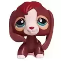 LPS 849