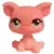 LPS 926