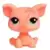 LPS 0998
