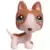 LPS 1095