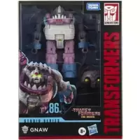 Gnaw