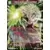 Saiyan Showdown [BT15] - Broly SS, Brutalité au-delà de toute Mesure