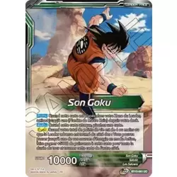 Son Goku // Son Goku, Confrontation prédestinée