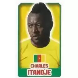 Charles Itandje - Cameroon