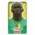 Stéphane Mbia - Cameroon